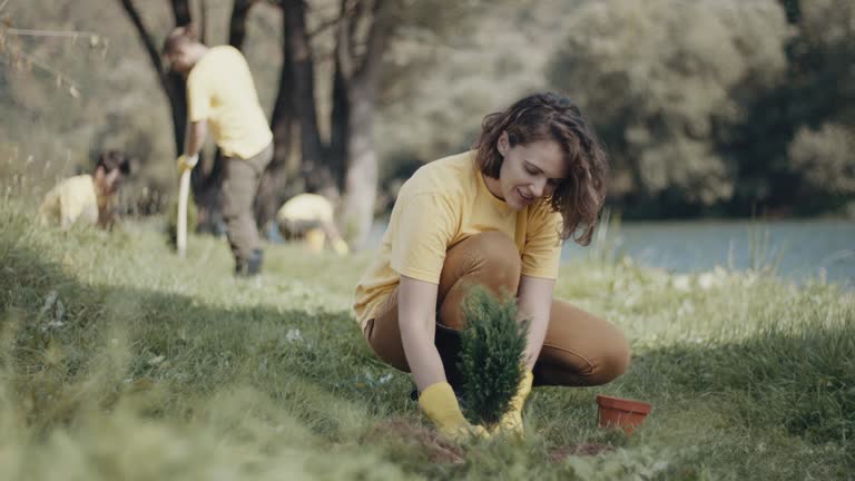 Lawn Drainage Solutions in Riverside, UT