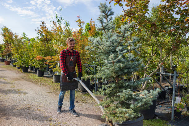 Best Leaf Removal  in Riverside, UT