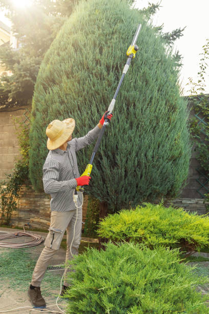 Best Weed Control  in Riverside, UT
